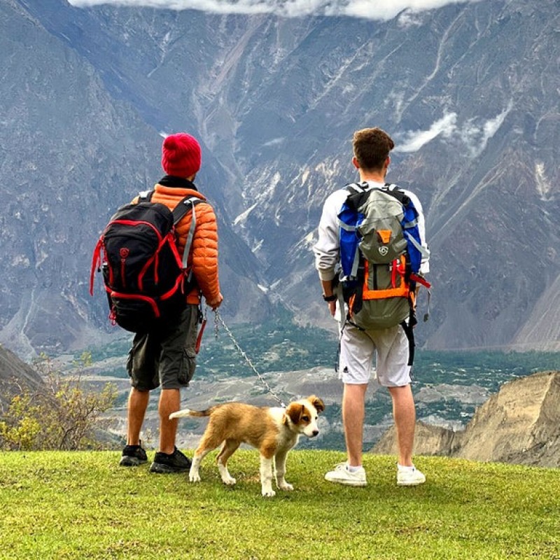 Daypack 60 liter top